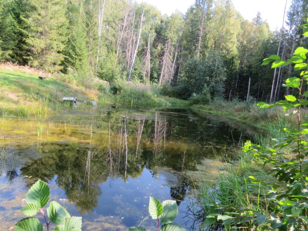 Harstad ved Ilsengstien 2020